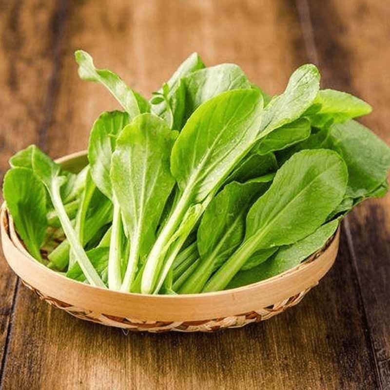 无锡食材批发
